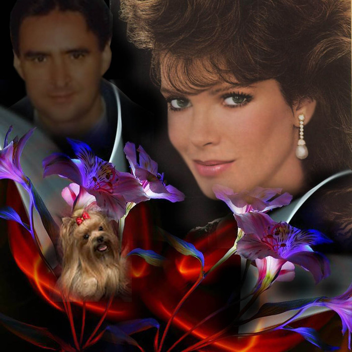 jaclynsmith782x80063kbm (700x700, 135Kb)