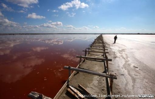 соль 2 Красная вода с водорослями, богатыми бета-каротин, в лагунах, где собирают соль. Фото Радио Свобода 13 (510x324, 73Kb)