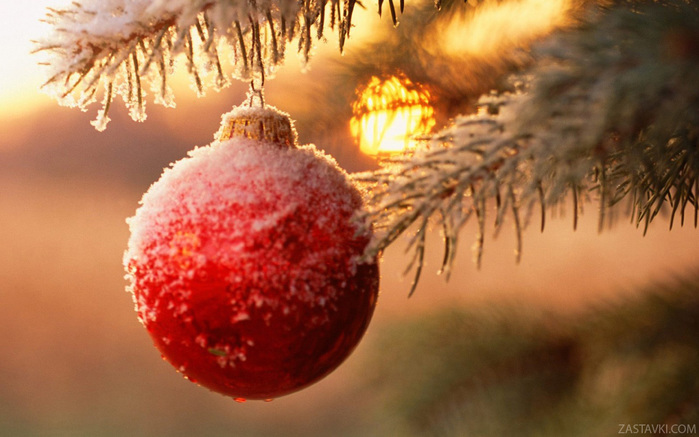 2303895_new_year_wallpapers_christmas_decorations_011576_205_0x0_mc (700x437, 117Kb)