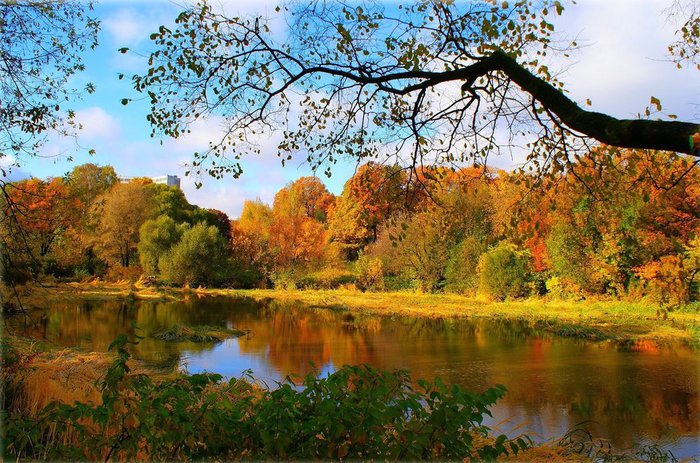 304552__autumn-forest-river_p (700x463, 126Kb)