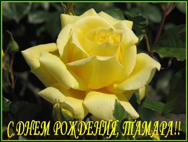4807239_1838195 (600x452, 41Kb)