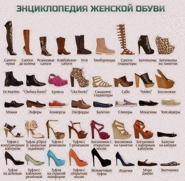 женская обувь (604x593, 408Kb)