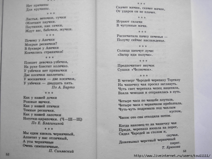 500_stishkov_dlya_zaryadki_yazychkov.page28 (700x525, 221Kb)