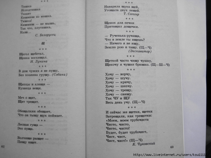 500_stishkov_dlya_zaryadki_yazychkov.page33 (700x525, 199Kb)