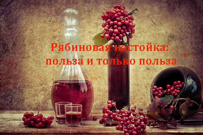 2835299_Ryabinovaya_nastoika__polza_i_tolko_polza (700x464, 215Kb)