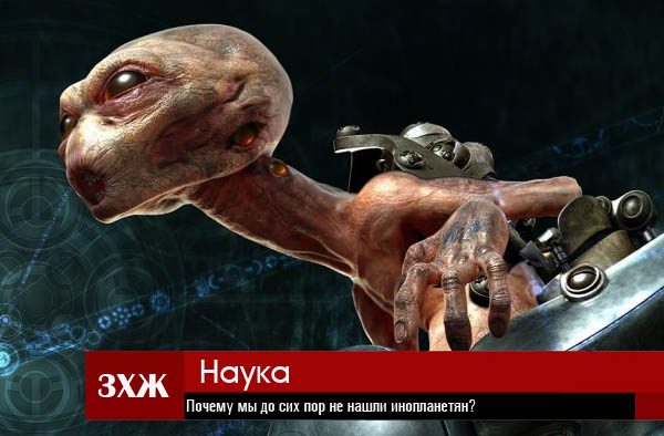 3431020_zkhzh16 (600x394, 96Kb)