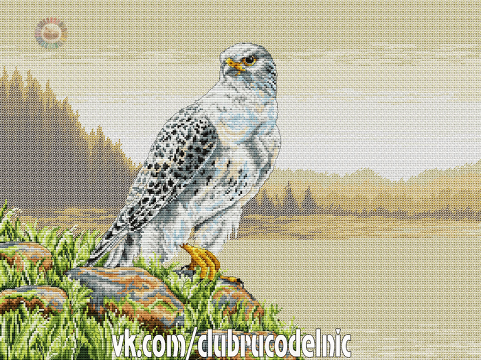 Gyre Falcon (700x525, 716Kb)