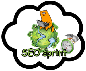 Rabota-na-SEO-sprint-300x250_1 (300x250, 65Kb)