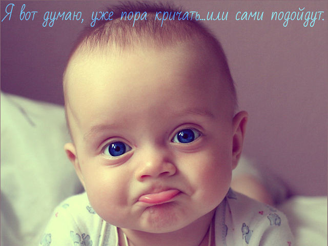 image (19) (640x480, 159Kb)