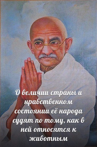 1668275_RRSRoVxdJVk (396x600, 69Kb)