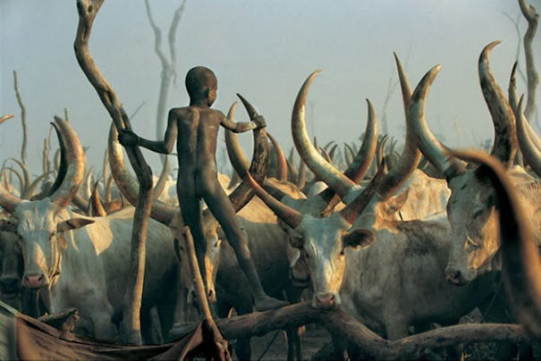 extraordinary-photos-the-essence-of-the-tribe-in-sudan4__605 (605x404, 174Kb)