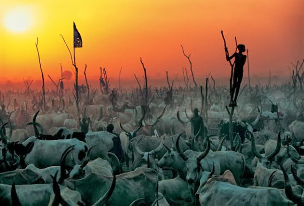 extraordinary-photos-the-essence-of-the-tribe-in-sudan22__605 (605x410, 170Kb)