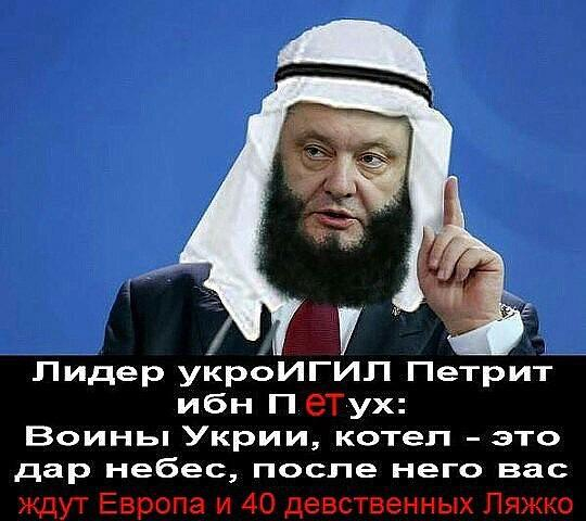 SAfp3Lr9li8 (540x480, 176Kb)