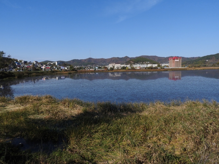 5559494_DSCN6800 (700x525, 280Kb)