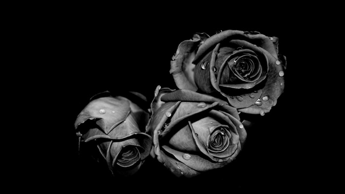 4617818_0_f2a9f_4da99341_orig (700x393, 40Kb)