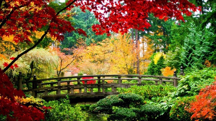 2523010-R3L8T8D-1000-water_nature_trees_autumn_multicolor_flowers_China_leaves_bridges_plants_rivers_branches_2560x1440-820x461 (700x393, 140Kb)