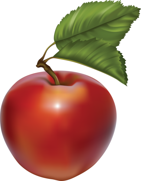 apple_png_elma_nisanbw4sl6 (466x600, 148Kb)