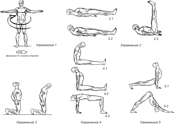 Пять жемчужин тибета упражнения схема всех упражнений