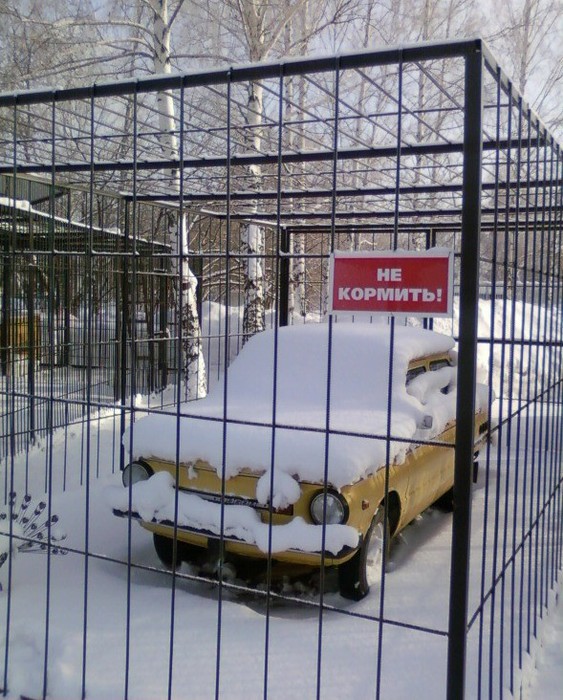 4807239_image_45 (563x700, 136Kb)
