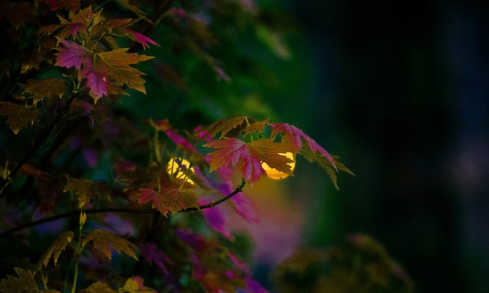 13 (700x420, 238Kb)