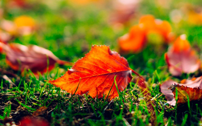 15 (700x437, 377Kb)