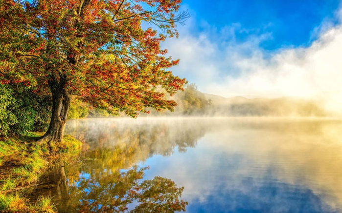 20 (700x437, 385Kb)