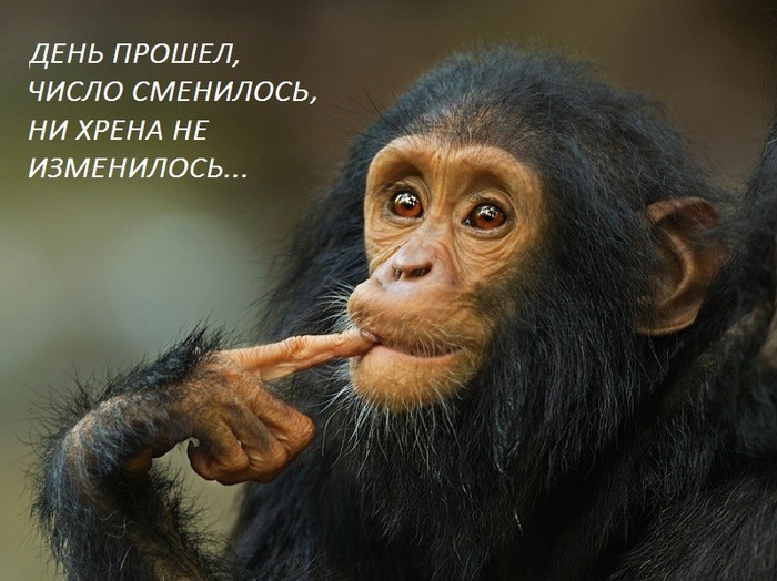 4807239_image_52 (700x524, 96Kb)