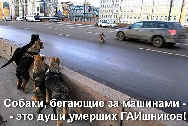 4807239_image_74 (604x405, 76Kb)
