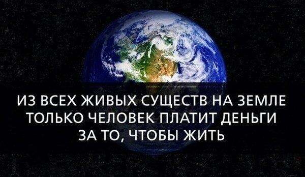 4807239_image_80 (600x348, 45Kb)