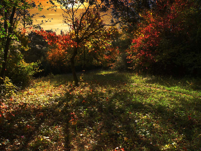 picturecontent-pid-6d5e4-et-14476776 (700x524, 614Kb)