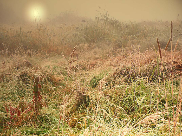 picturecontent-pid-47b96-et-ccf6f2e (700x523, 525Kb)