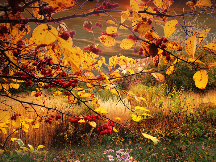 picturecontent-pid-68def-et-12afaad4 (700x525, 752Kb)