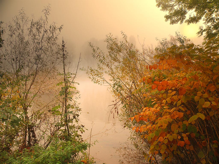 picturecontent-pid-471ea-et-cbe506c (700x525, 503Kb)