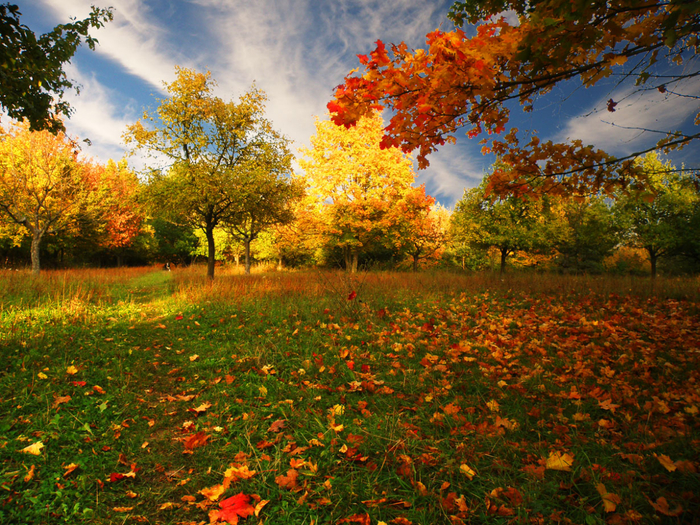 picturecontent-pid-672b7-et-124390b5 (700x525, 702Kb)