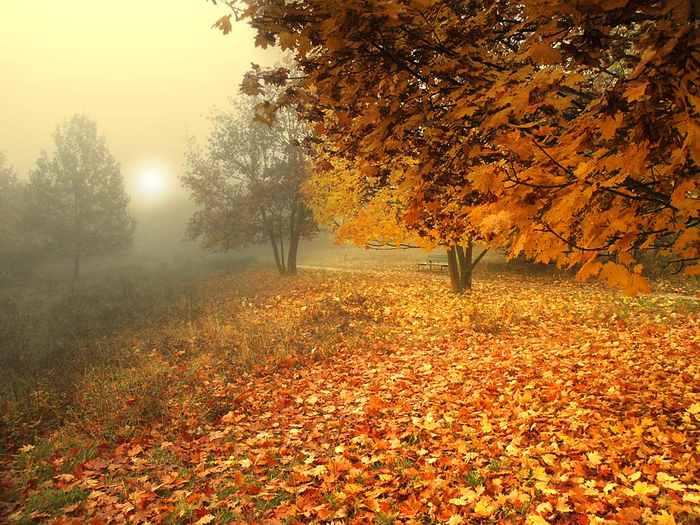 picturecontent-pid-43729-et-c4a47a4 (1) (700x525, 596Kb)