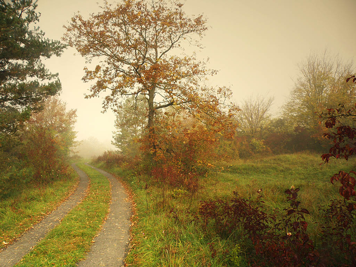 picturecontent-pid-46488-et-ca68e67 (700x525, 553Kb)
