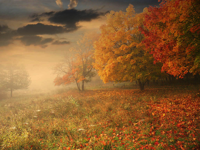 picturecontent-pid-57677-et-edd7ae2 (700x525, 582Kb)