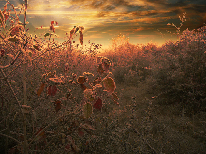 picturecontent-pid-59954-et-f389476 (700x525, 547Kb)