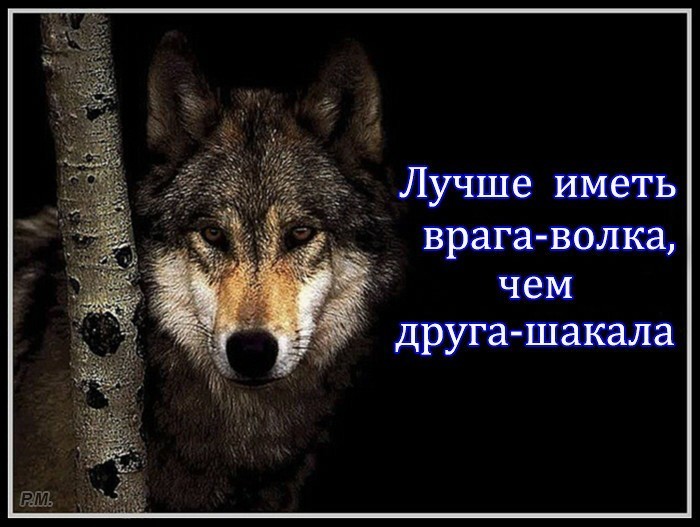 4807239_image_7 (700x527, 83Kb)
