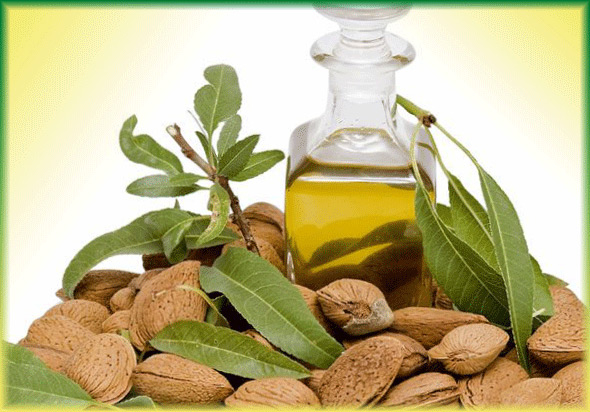 almond_oil_2 (590x412, 231Kb)