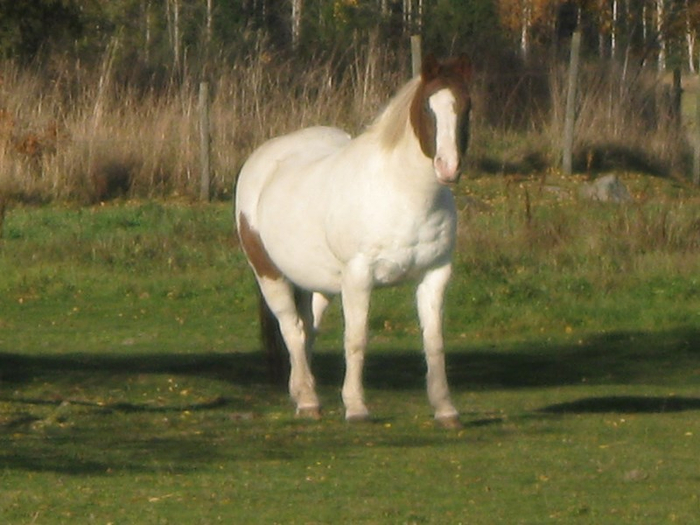 road 033 (700x525, 345Kb)