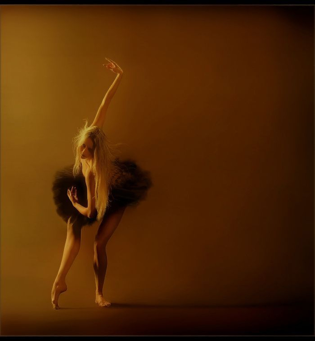 balet_16 (647x700, 164Kb)