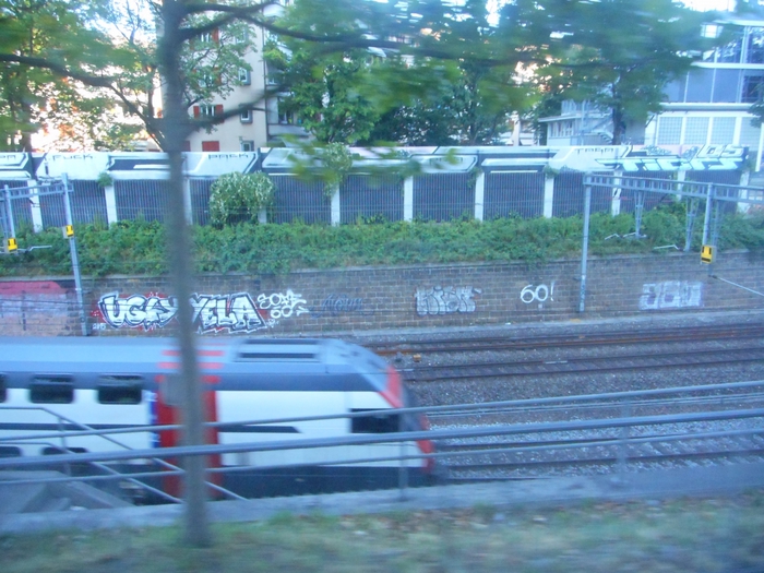 4878453_sh_1478 (700x525, 312Kb)