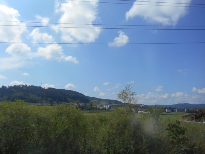 4878453_sh_791 (700x525, 210Kb)