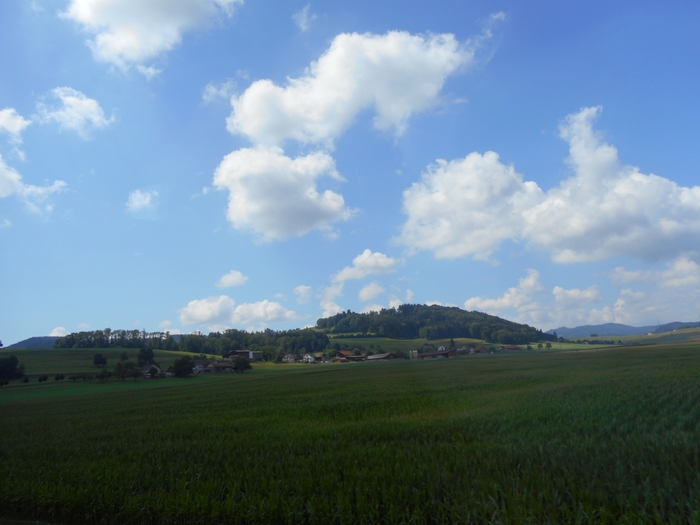 4878453_sh_787 (700x525, 210Kb)