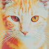 2245788_85741882_1333849186_tumblr_m1yo6zTmX21qlluv1o1_500 (100x100, 40Kb)
