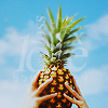 2245788_b39cde1899fd (100x100, 36Kb)