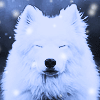 2245788_tumblr_mk504wPw1p1r6z6kro1_ (100x100, 18Kb)