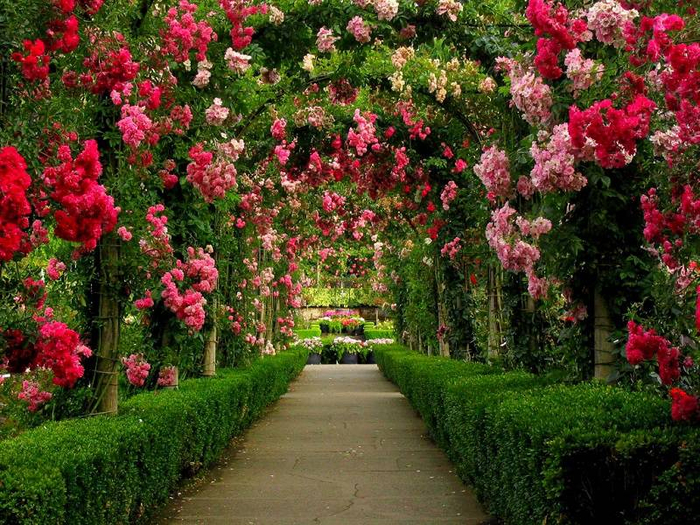 gardens-around-the-world-butchart-gardens-walkway (700x525, 579Kb)
