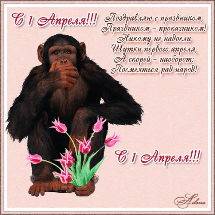 c685d8f410db735b9406fa70b8daa0dl (700x700, 77Kb)